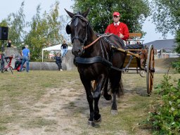 _DSC5441_web